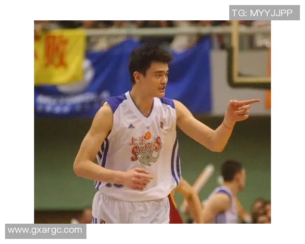 姚明在上海的家产揭秘及其背后的财富故事与投资布局分析 姚明在上海的家产揭秘及其背后的财富故事与投资布局分析