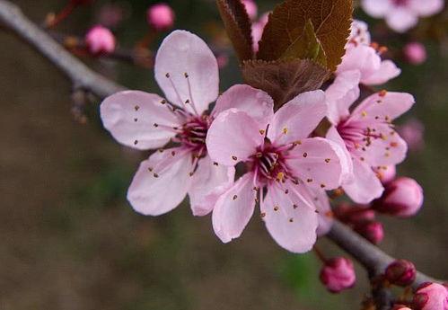 富贵临门喜从天降,揭秘财富与好运的神秘邂逅